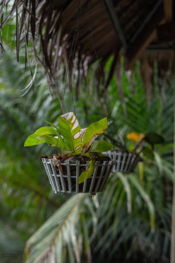 Hotel Nary Garden Kampot Exterior foto