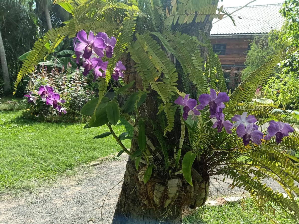 Hotel Nary Garden Kampot Exterior foto