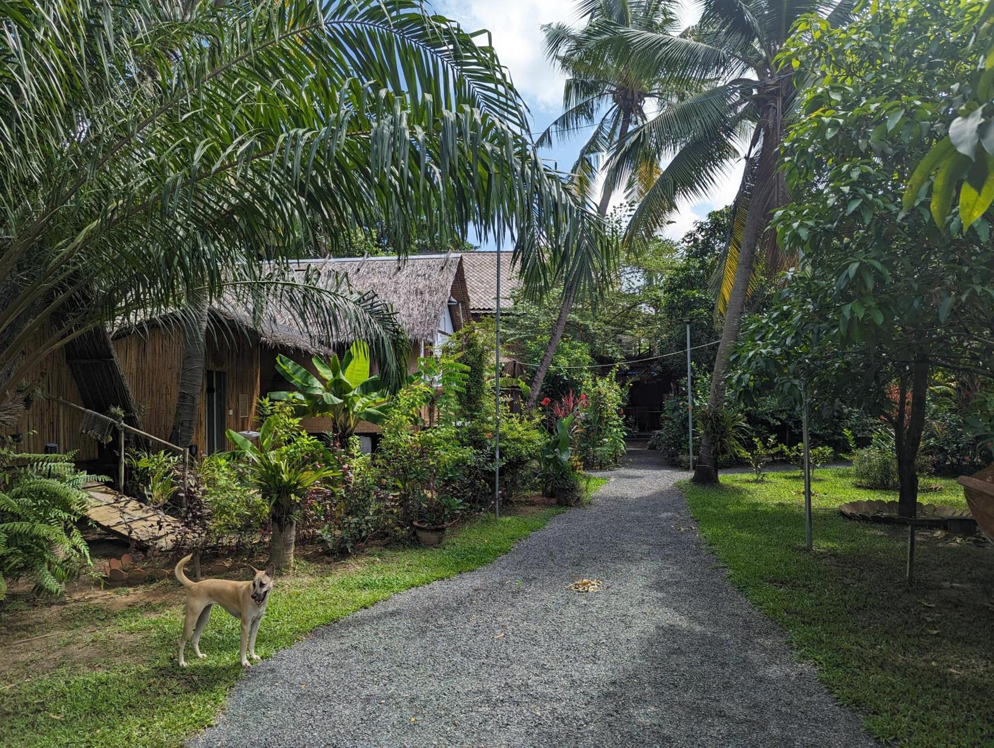 Hotel Nary Garden Kampot Exterior foto